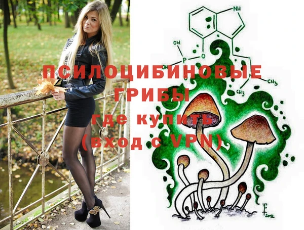 меф Нефтегорск