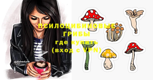 винт Надым