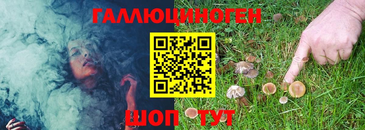 Псилоцибиновые грибы MAGIC MUSHROOMS  Псилоцибиновые грибы Cubensis  Великий Новгород 