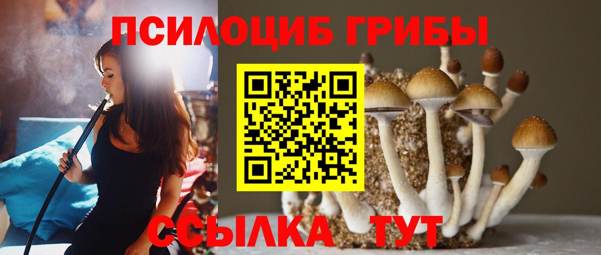 Галлюциногенные грибы Cubensis Великий Новгород